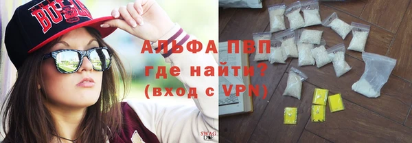 прущие грибы Белоозёрский