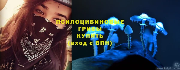эйфоретик Богородск