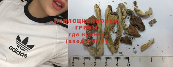 каннабис Богородицк