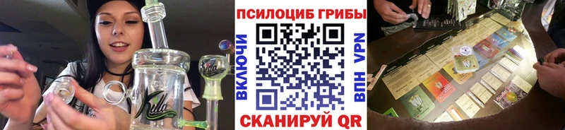 Галлюциногенные грибы Psilocybe  гидра как войти  Волгореченск 